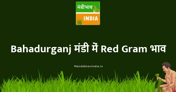 Red Gram भाव